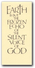 [Click to enlarge Z01 image]