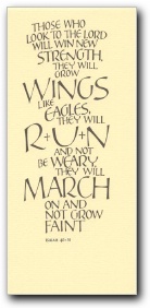 [Click to enlarge Z02 image]