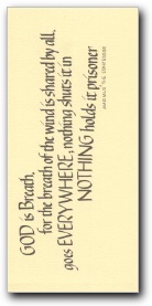 [Click to enlarge Z03 image]