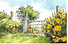 Crosswell