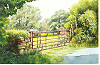 Gelli Fawr