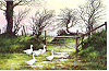 Gnol Farm