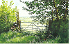 Mynydd
