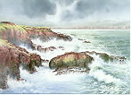 Storm Force