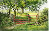 Summer gate